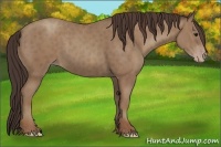 Horse Color:Classic Champagne Brindle