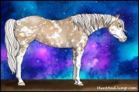 Horse Color:Silver Black Pearl Sabino