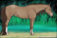 Horse Color:Classic Champagne  and Classic Champagne 