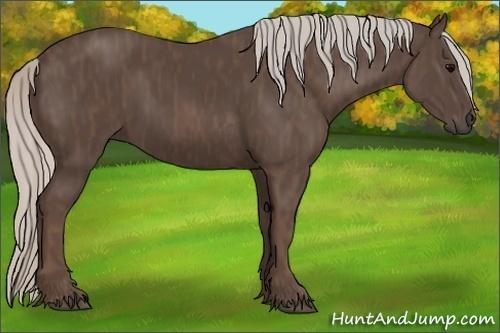 Horse Color:Silver Black Brindle