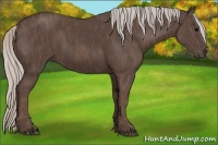 Horse Color:Silver Black  Brindle