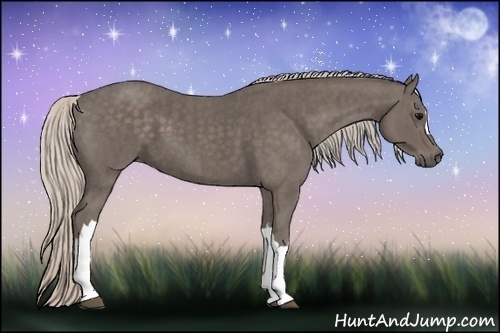 Horse Color:Silver Black  Brindle