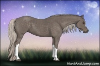 Horse Color:Silver Black Brindle