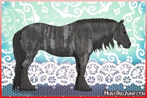 Horse Color:Blue Roan  Brindle