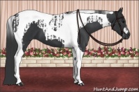 Horse Color:Black Tobiano and Black Tobiano