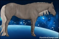 Horse Color:Silver Black  Brindle