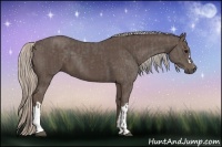 Horse Color:Silver Black and Silver Black