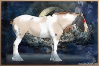 Horse Color:Blue Roan Splash Tobiano Frame  and Smoky Blue Roan Pearl Splash Tobiano Frame 