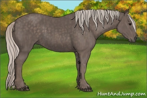 Horse Color:Silver Black Tobiano Brindle