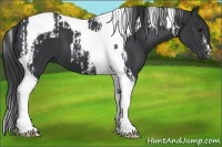 Horse Color:Black Tobiano  and Black Tobiano 