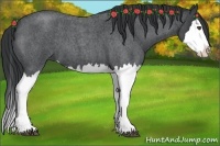 Horse Color:Blue Roan Splash 