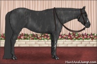 Horse Color:Black  Brindle