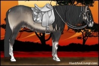 Horse Color:Blue Onyx  and Blue Onyx 