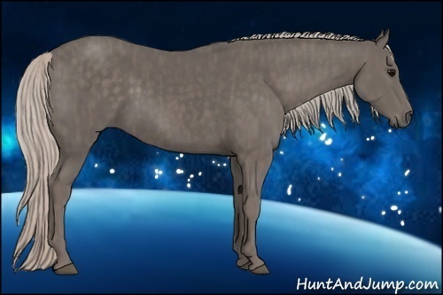Horse Color:Silver Black Brindle