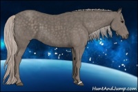 Horse Color:Silver Black Brindle