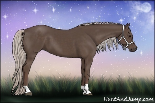 Horse Color:Silver Black  and Silver Black 