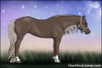 Horse Color:Silver Black and Silver Black