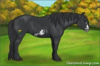 Horse Color:Black Frame  and Black Frame 