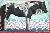 Horse Color:Black Tobiano  and Black Tobiano 