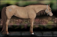 Horse Color:Classic Champagne  Brindle