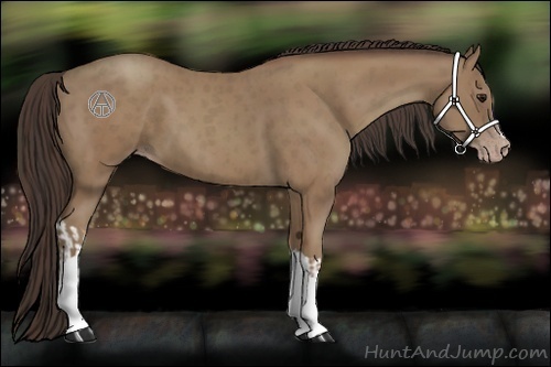 Horse Color:Classic Champagne  and Classic Champagne 