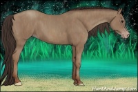 Horse Color:Classic Champagne Brindle