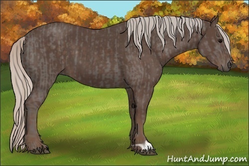 Horse Color:Silver Black and Silver Black
