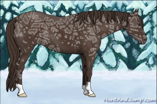 Horse Color:Liver Chestnut Ice 