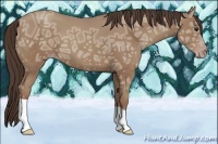 Horse Color:Classic Champagne Ice 