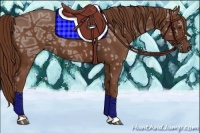 Horse Color:Chestnut Ice 