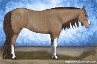 Horse Color:Classic Champagne  and Classic Champagne 