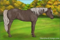 Horse Color:Silver Black and Silver Black
