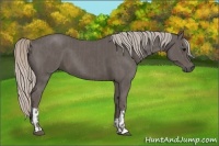 Horse Color:Silver Black and Silver Black