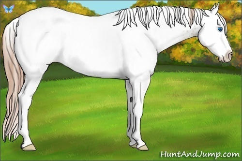 Horse Color:White Spotted Smoky Black Ice Pearl Splash 
