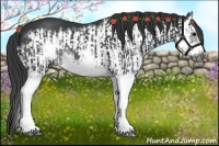 Horse Color:Black Splash Frame and Black Splash Frame