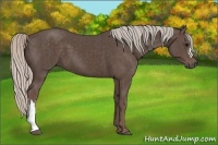 Horse Color:Silver Black and Silver Black