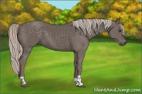 Horse Color:Silver Black and Silver Black