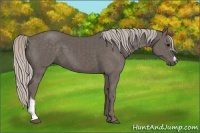 Horse Color:Silver Black and Silver Black