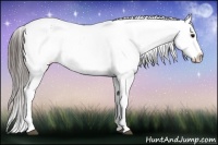 Horse Color:White Spotted Black Splash Tobiano Frame Varnish and White Spotted Black Splash Tobiano Frame Varnish