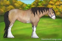 Horse Color:Bay Dun Sabino Rabicano
