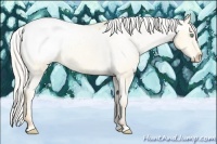 Horse Color:Silver Amber Cream Champagne Dun Snowcap 