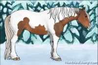 Horse Color:Silver Brown Tobiano 