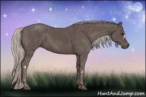 Horse Color:Silver Black  Brindle