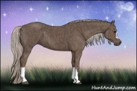 Horse Color:Silver Black Brindle