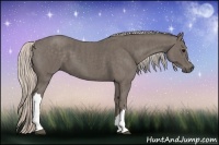 Horse Color:Silver Black  Brindle