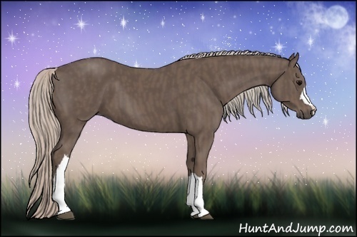 Horse Color:Silver Black  Brindle