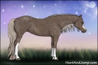 Horse Color:Silver Black  Brindle