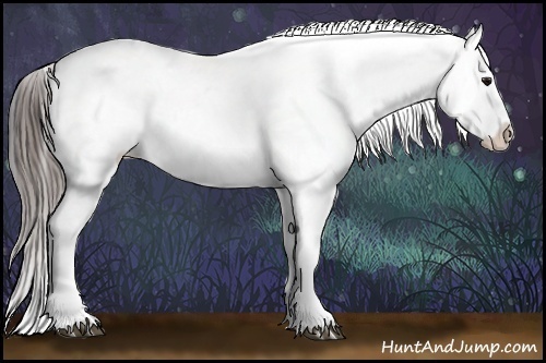 Horse Color:Black Appaloosa Brindle