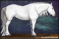 Horse Color:Black Appaloosa  Brindle