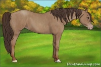Horse Color:Classic Champagne  Brindle